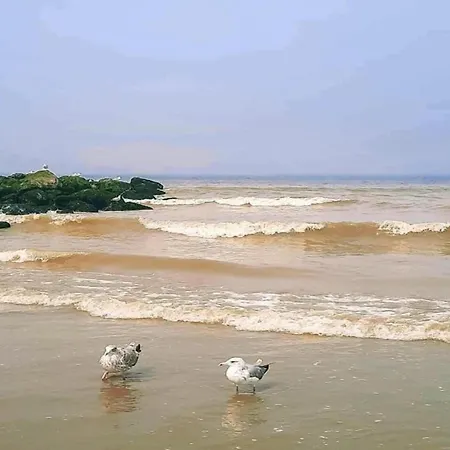 Duplex In Near The Beach, Cleaning Included *